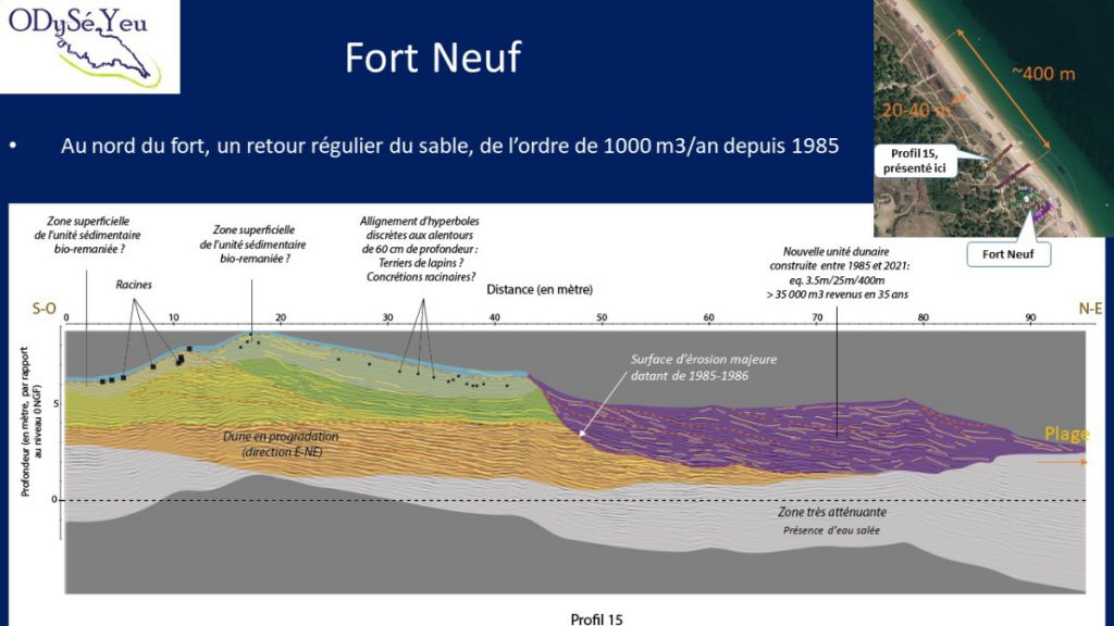 Profil géoradar réalisé transversalement au massif dunaire, au nord du Fort Neuf